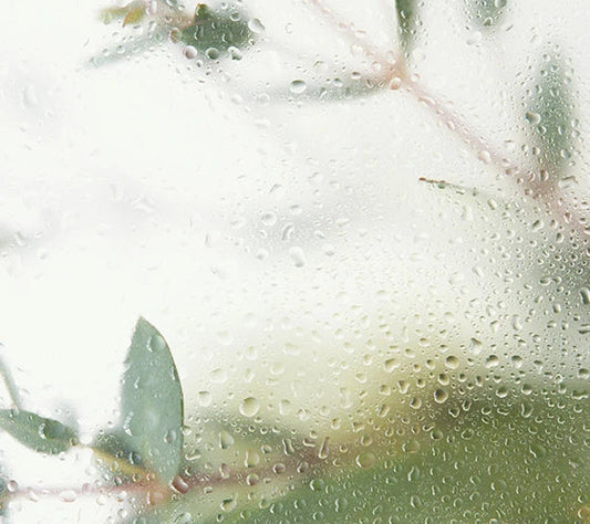 How Roof Vents Can Eliminate Condensation – A Guide from VentsDirect.co.uk